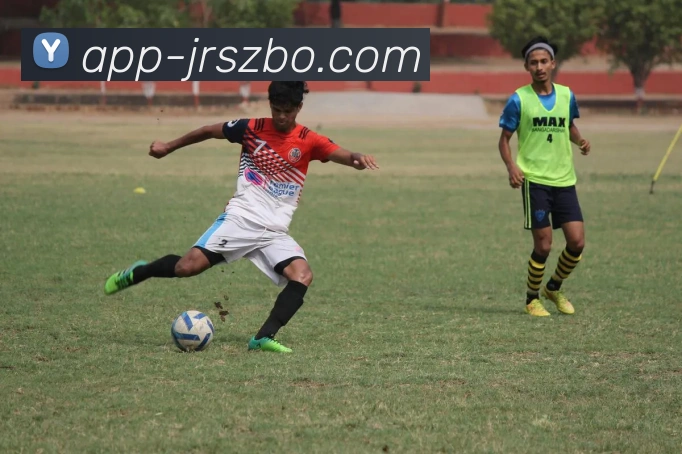 App Interface Preview